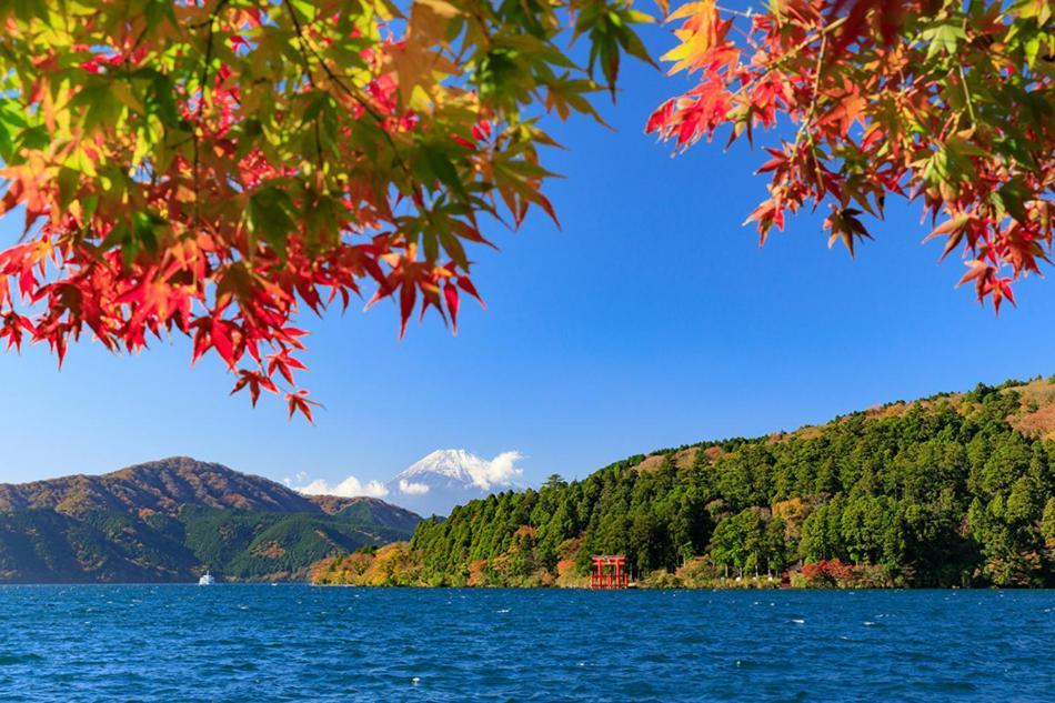 New Open『天然温泉』芦ノ湖畔の完全貸切別荘 Hakone Luaran gambar